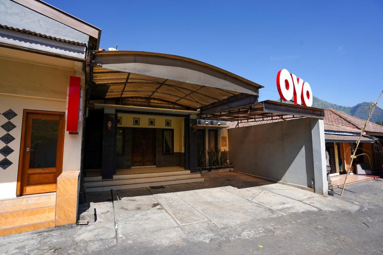 Oyo 1087 Homestay Potato House Bromo Dış mekan fotoğraf